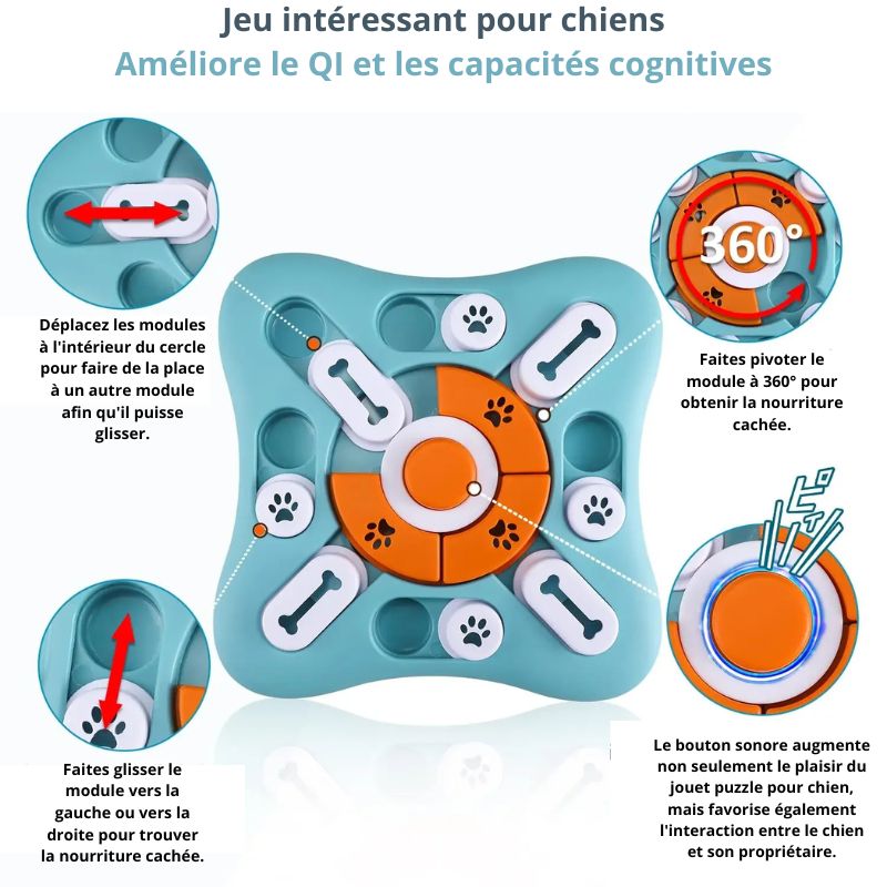 Gamelle anti glouton Chien règles