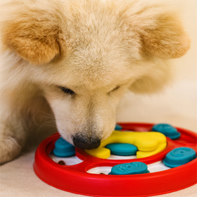 Gamelle anti glouton Chien rouge jeu