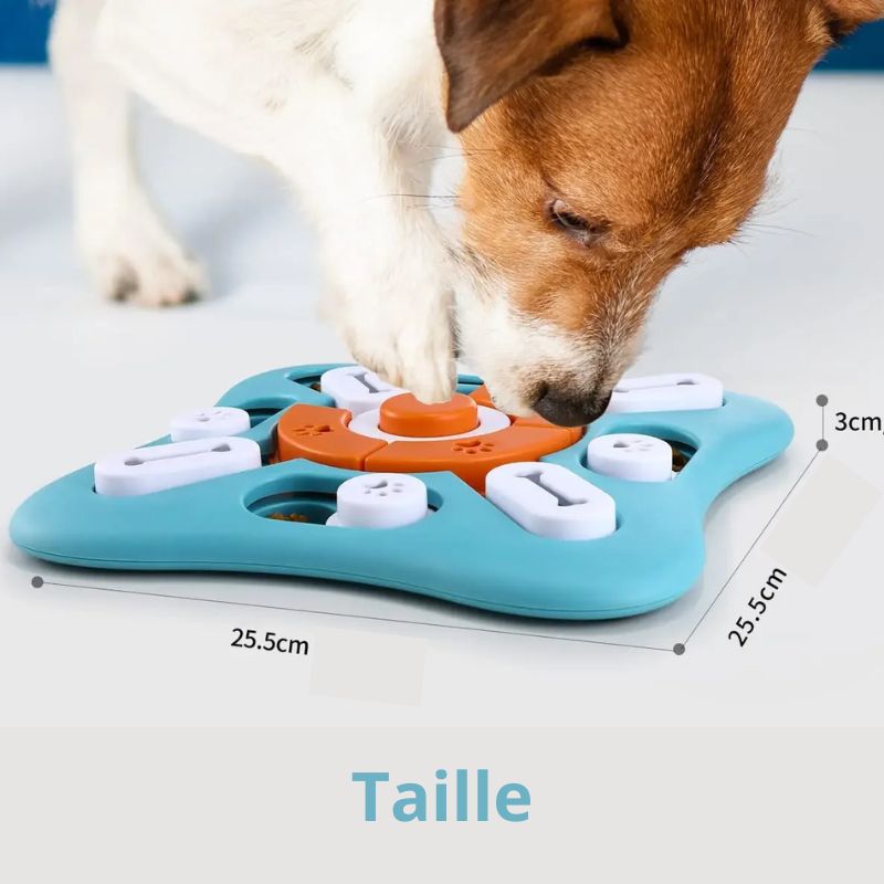 Gamelle anti glouton Chien taille jeu