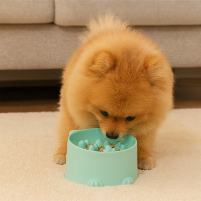 Gamelle anti gloutoin Chien vert manger