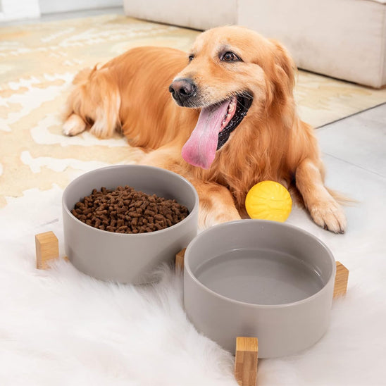 Gamelle chien grise design