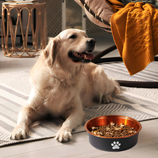 Gamelle chien intérieur marron