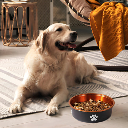 Gamelle chien intérieur marron