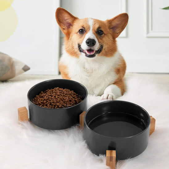 Gamelle chien noir mangeoir facile