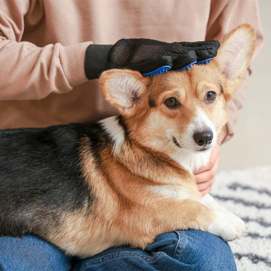 Gant de toilettage confortable durable