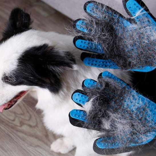 Gant de toilettage ramasse