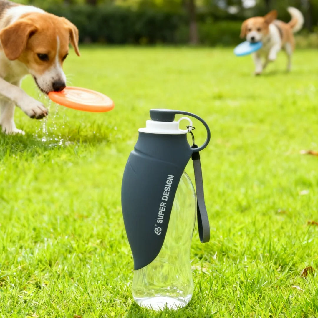 Gourde pour chien noir