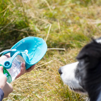 Gourde pour chien bleu pratique