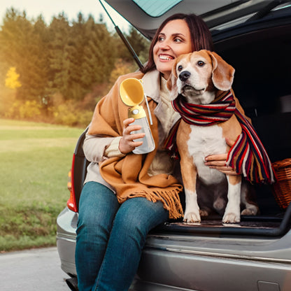 Gourde pour chien jaune boire