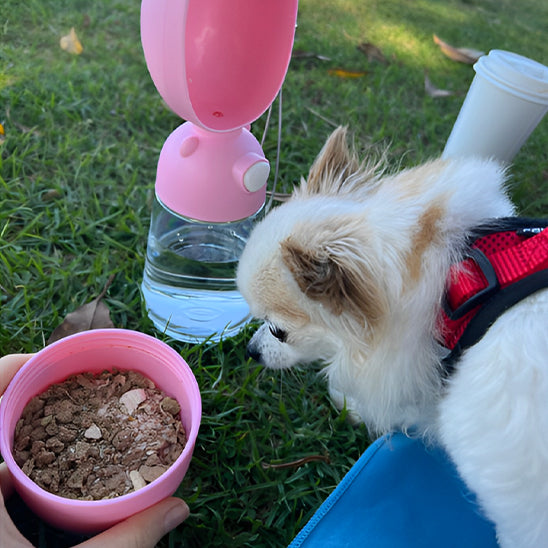 Gourde pour chien rose nourriture