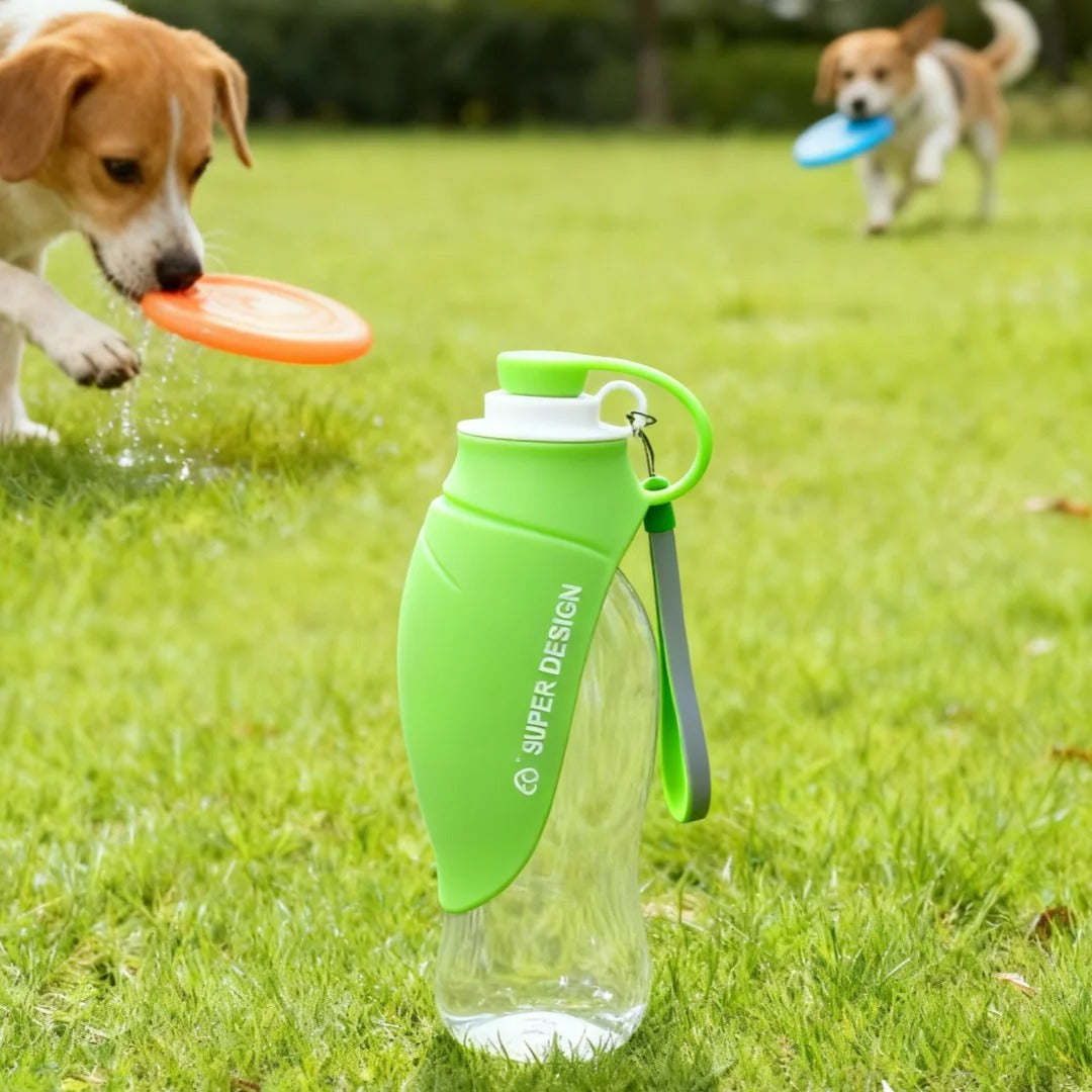 Gourde pour chien verte