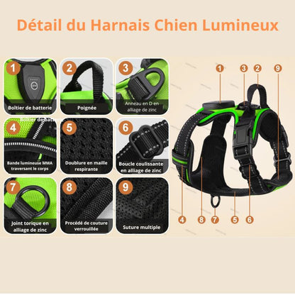 Harnais chien produit