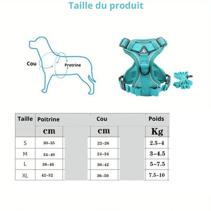 Harnais pour Chien taille solide