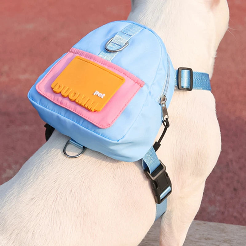 Harnais pour chien bleu mignon