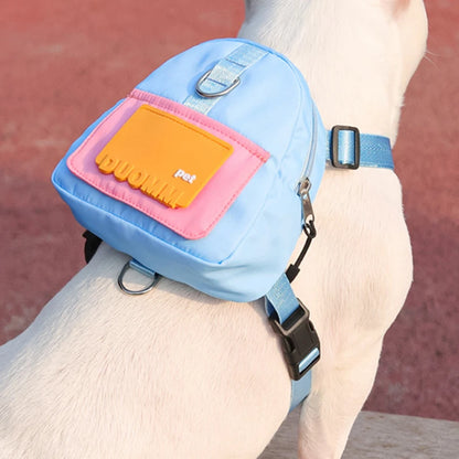 Harnais pour chien bleu mignon