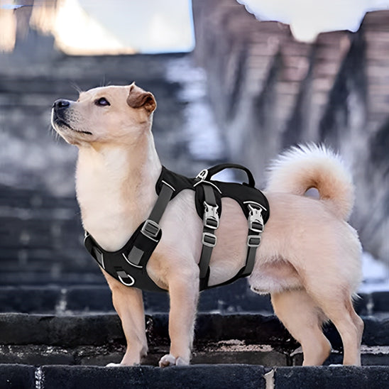 Harnais pour chien noir solide