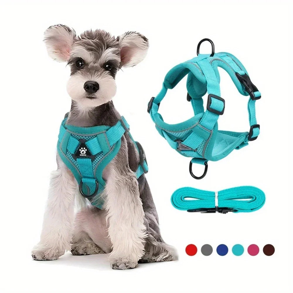 Harnais pour chien produit design