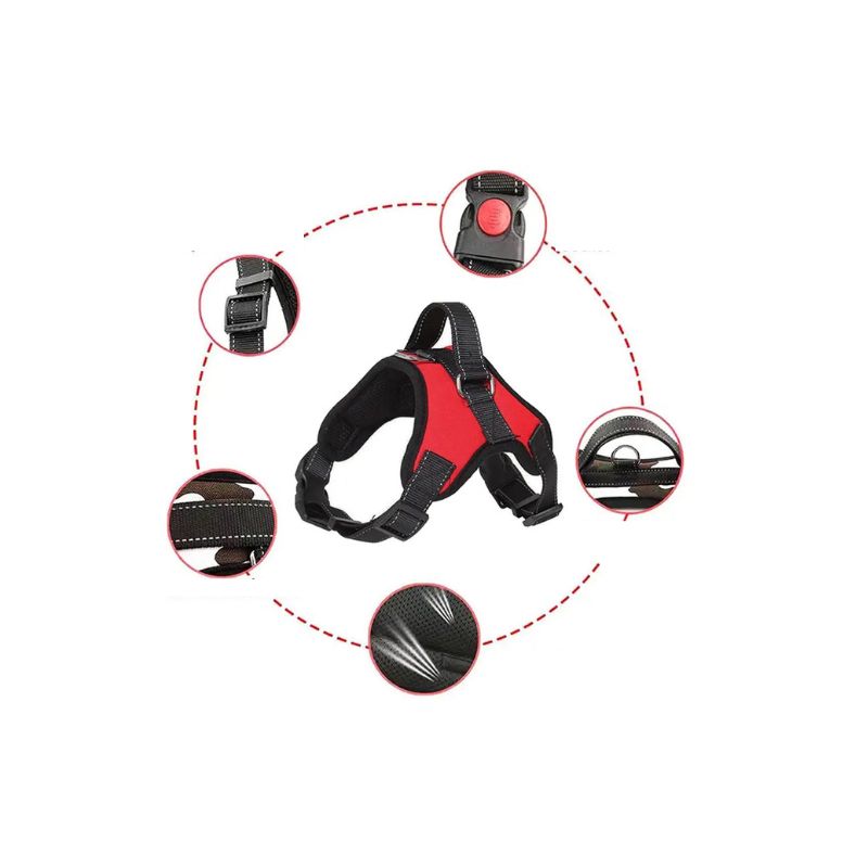 Harnais pour chien produit