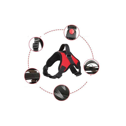 Harnais pour chien produit