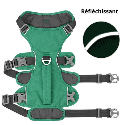 H&arnais pour chien réfléchissant