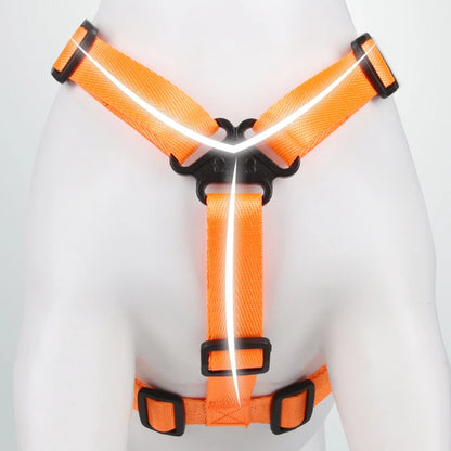 Harnais pour chien sangle