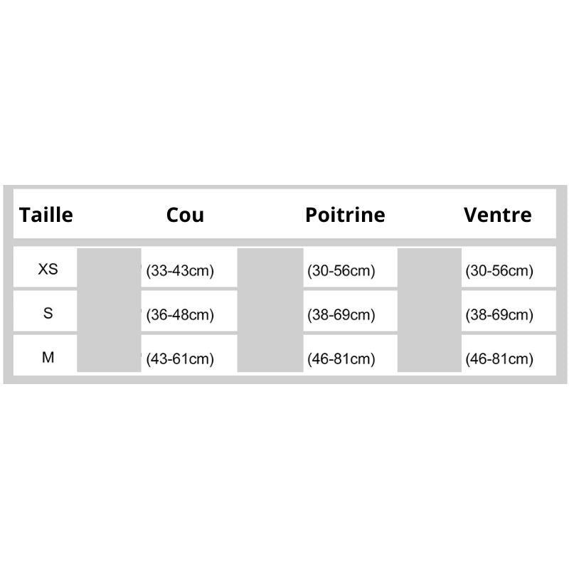 Harnais pour chien taille design