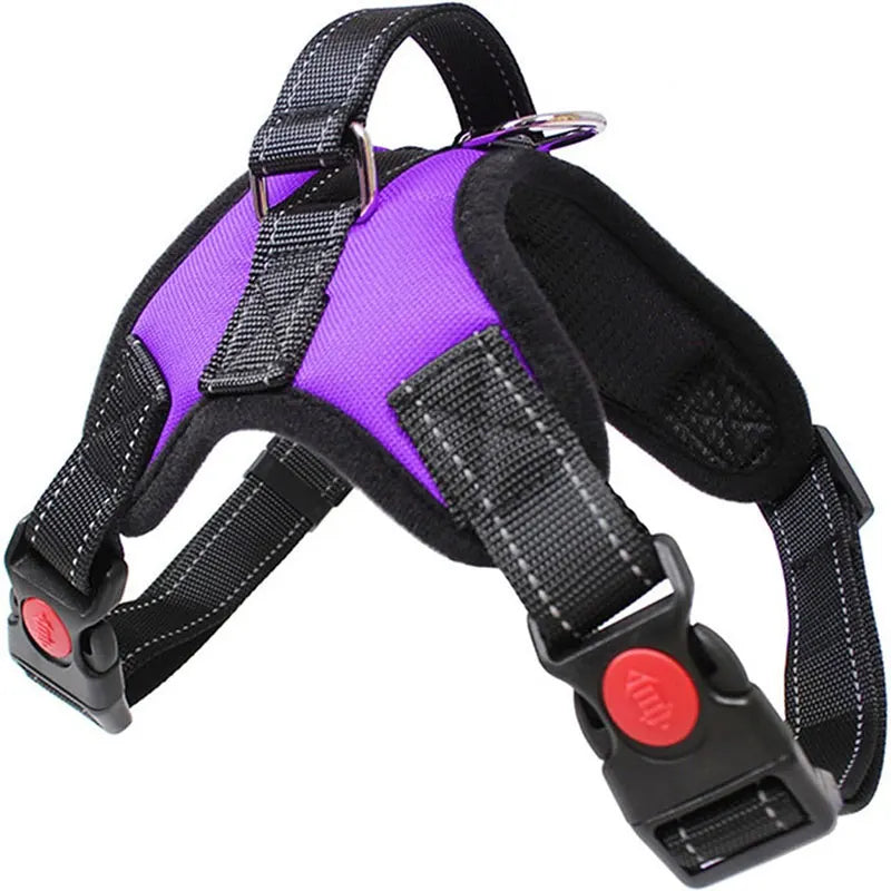 Harnais pour chien violet