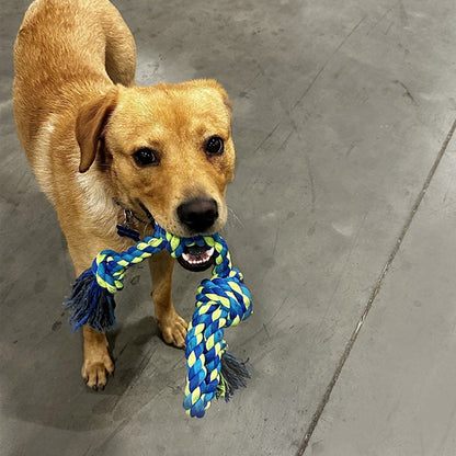 Jouet chien indestructible bleu jeu