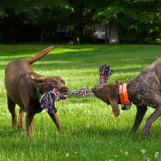 Jouet chien indestructible rouge