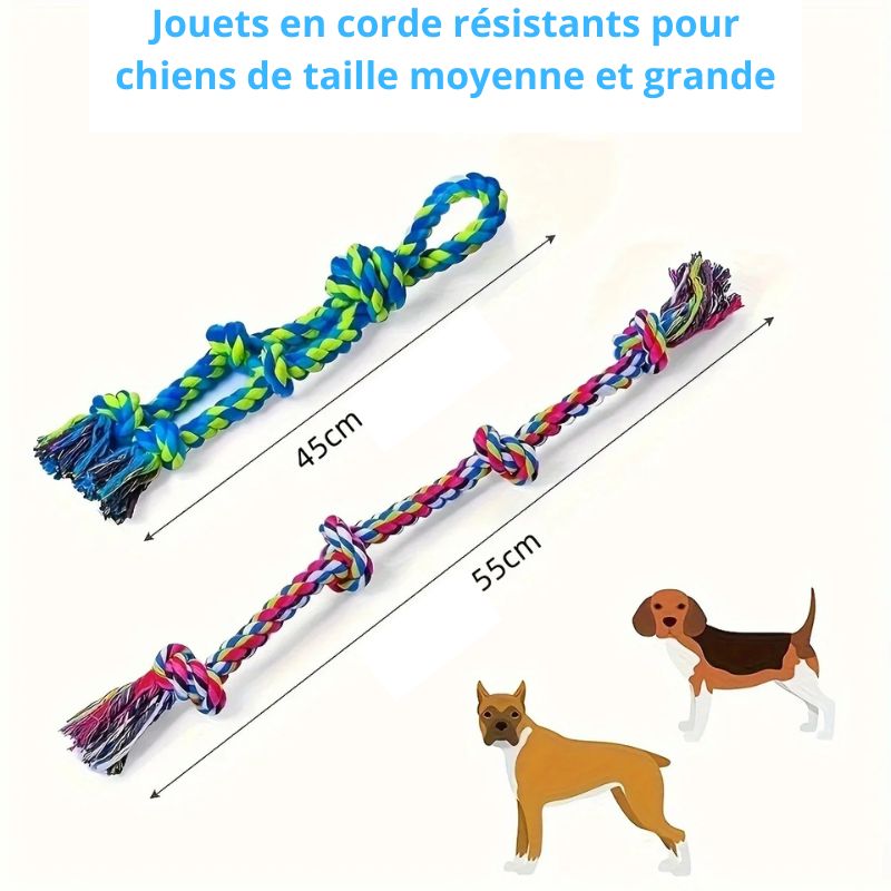 Jouet chien indestructible taille