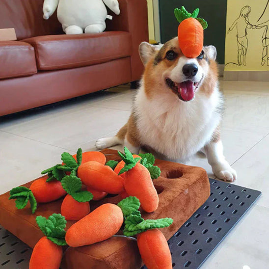 Jouet pour chien equilibriste