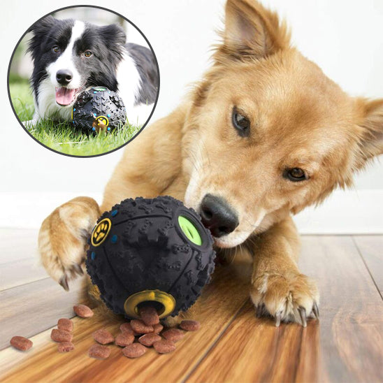 Jouet pour chien faim