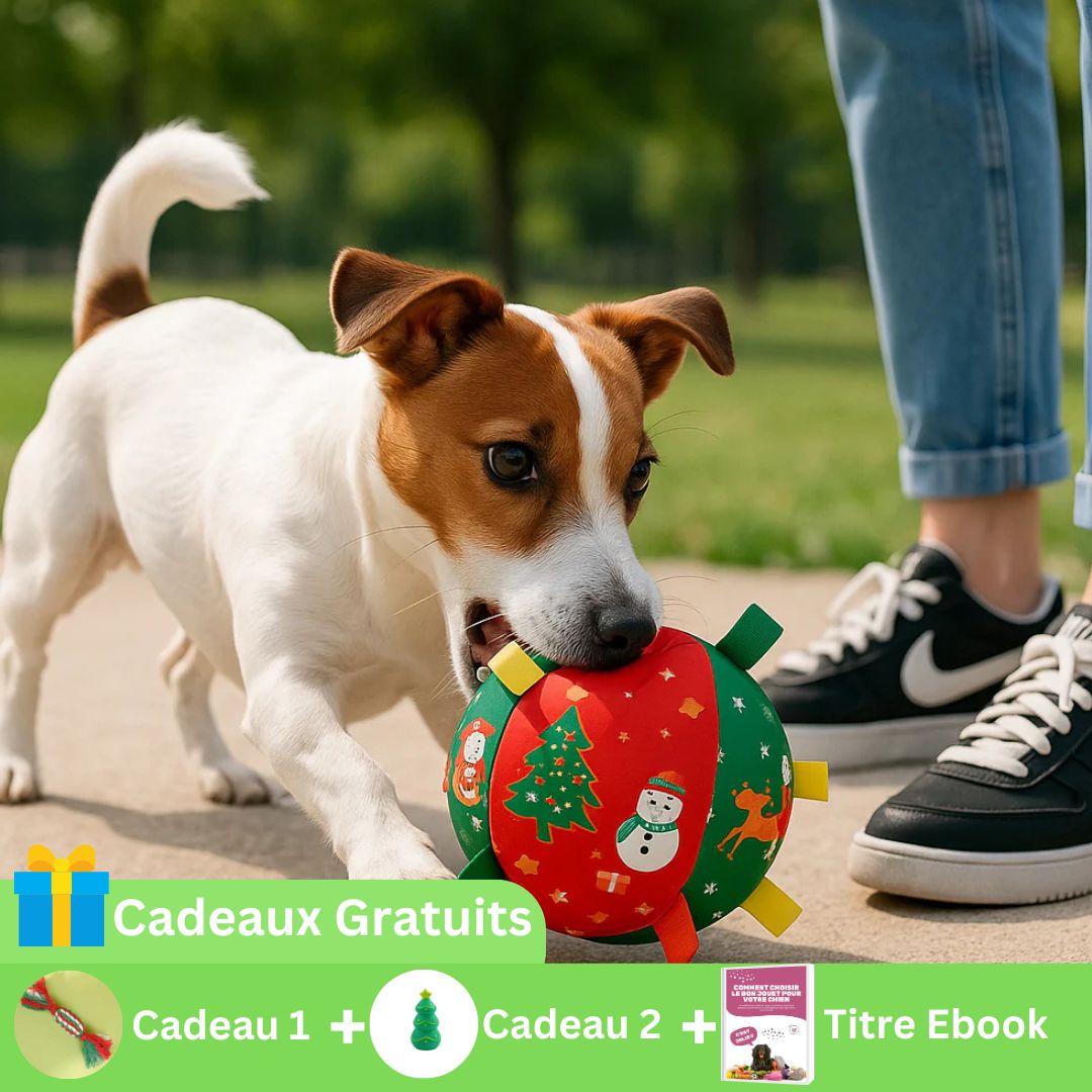 Balle de noel pour chien | Festive