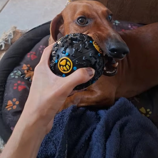 Jouet pour chien teckel