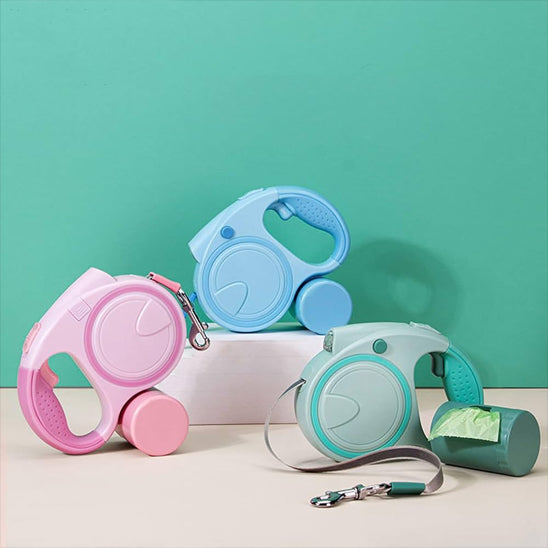 Laisse pour Chien multicouleur