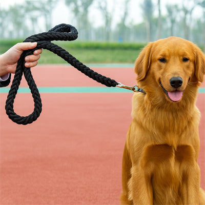 Laisse-pour-Chien-noir