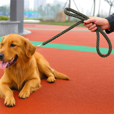Laisse-pour-Chien-vert-armé