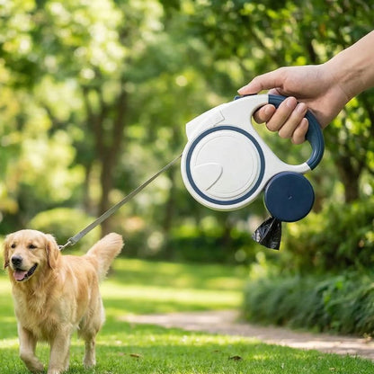 Laisse pour chien | LED Télescopique Nocturne