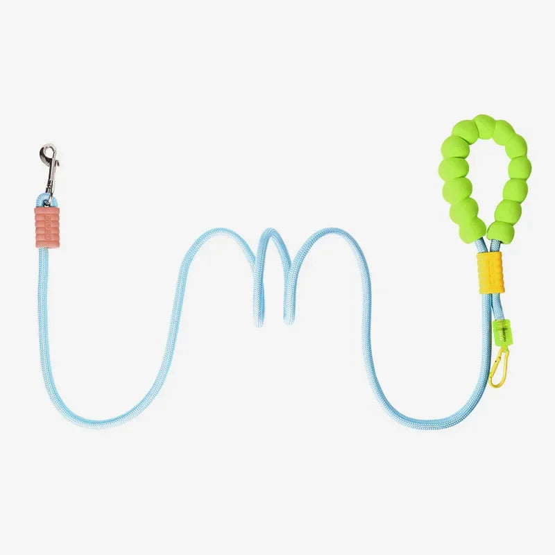 Laisse pour chien bleu