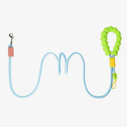 Laisse pour chien bleu