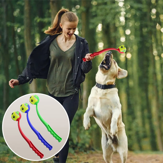 Lanceur de balle pour chien multicouleur