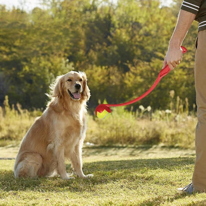 Lanceur de balle pour chien rouge extérieur