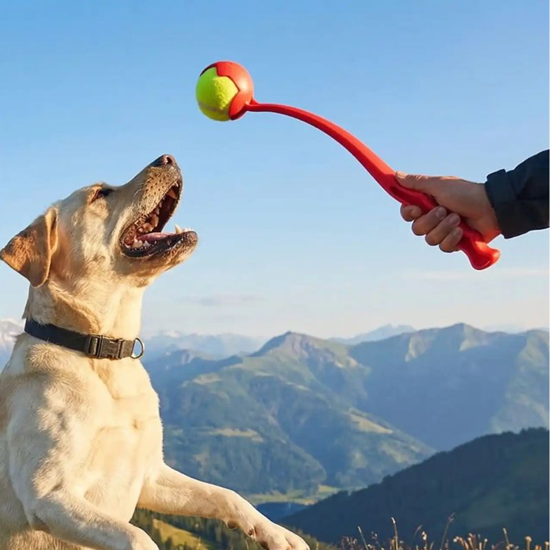 Lanceur de balle pour chien | ErgoJet