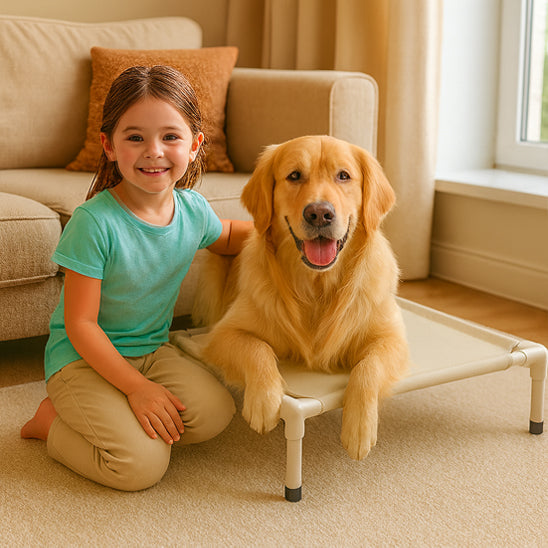 Lit de camp chien | DogBed