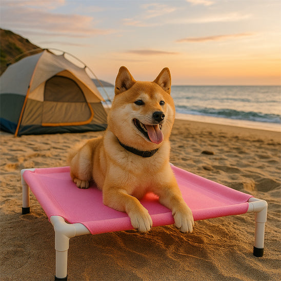 Lit de camp chien | DogBed