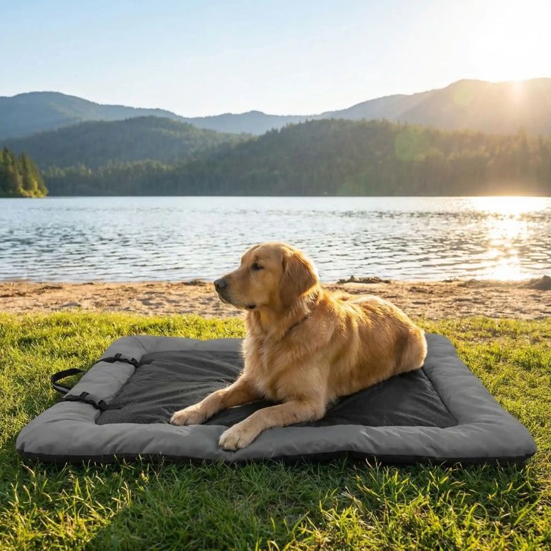 Lit de camp pour chien gris