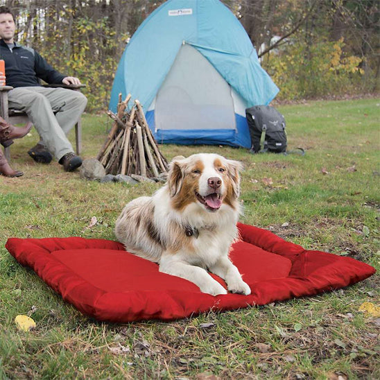 Lit de camp pour chien rouge confortable