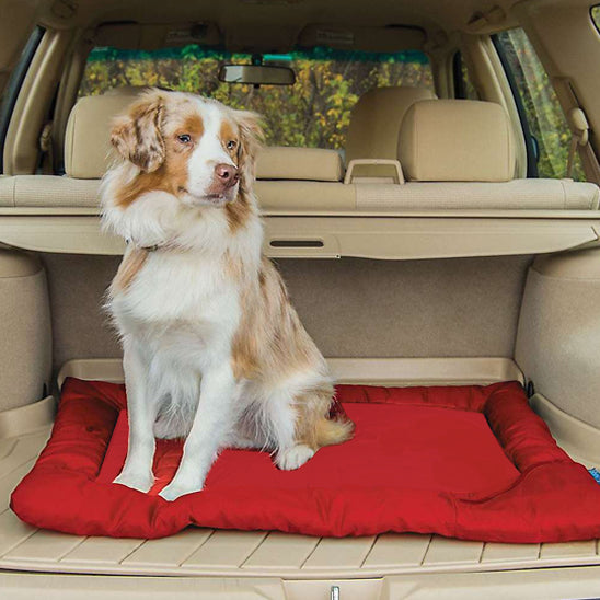 Lit de camp pour chien transport