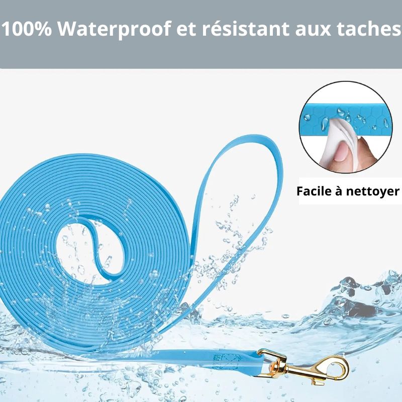 Longe pour chien nettoyer