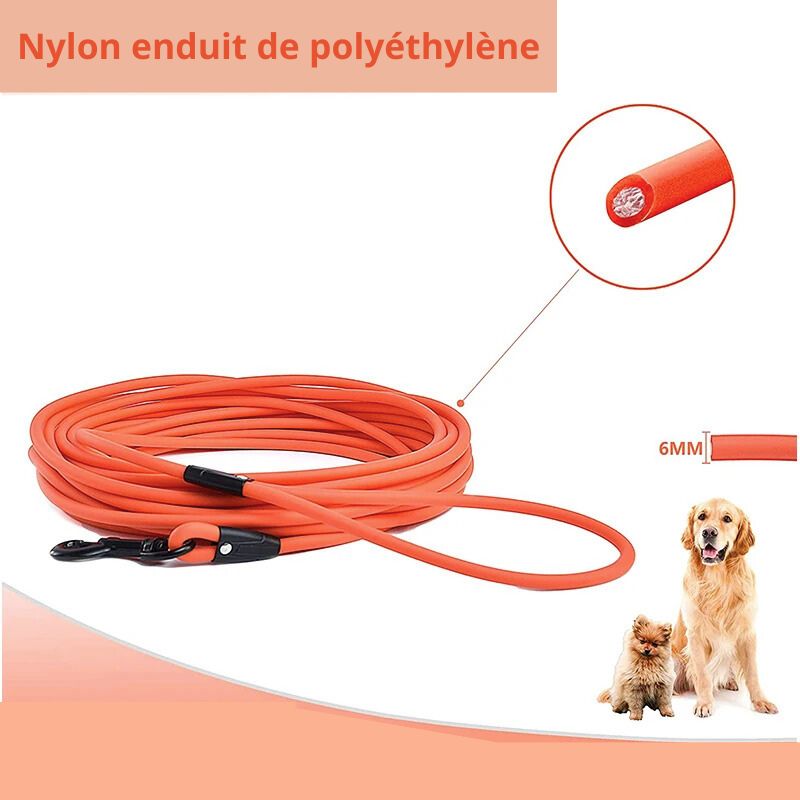 Longe pour chien produit